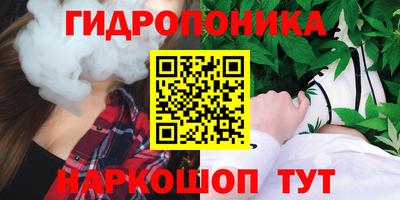 прущие грибы Пыть-Ях