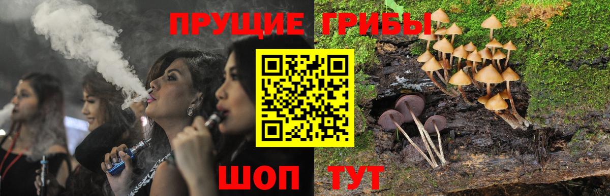 Галлюциногенные грибы Cubensis Сургут