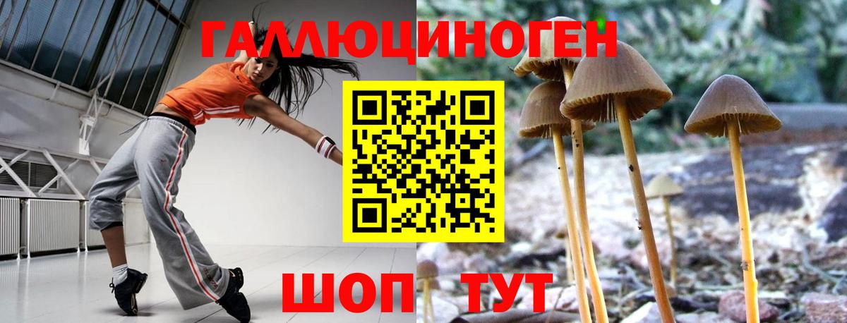Галлюциногенные грибы прущие грибы  Псилоцибиновые грибы MAGIC MUSHROOMS  Сургут  Вход с VPN 